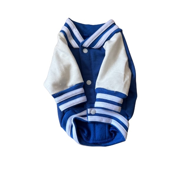 beisbolera para perros